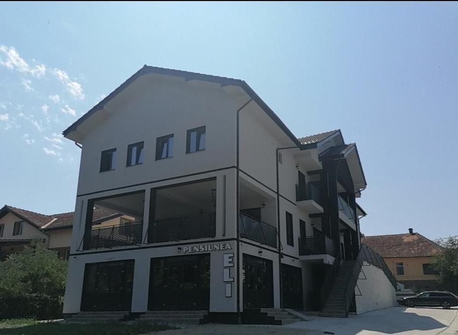 Pensiunea Eli Buziaş Εξωτερικό φωτογραφία